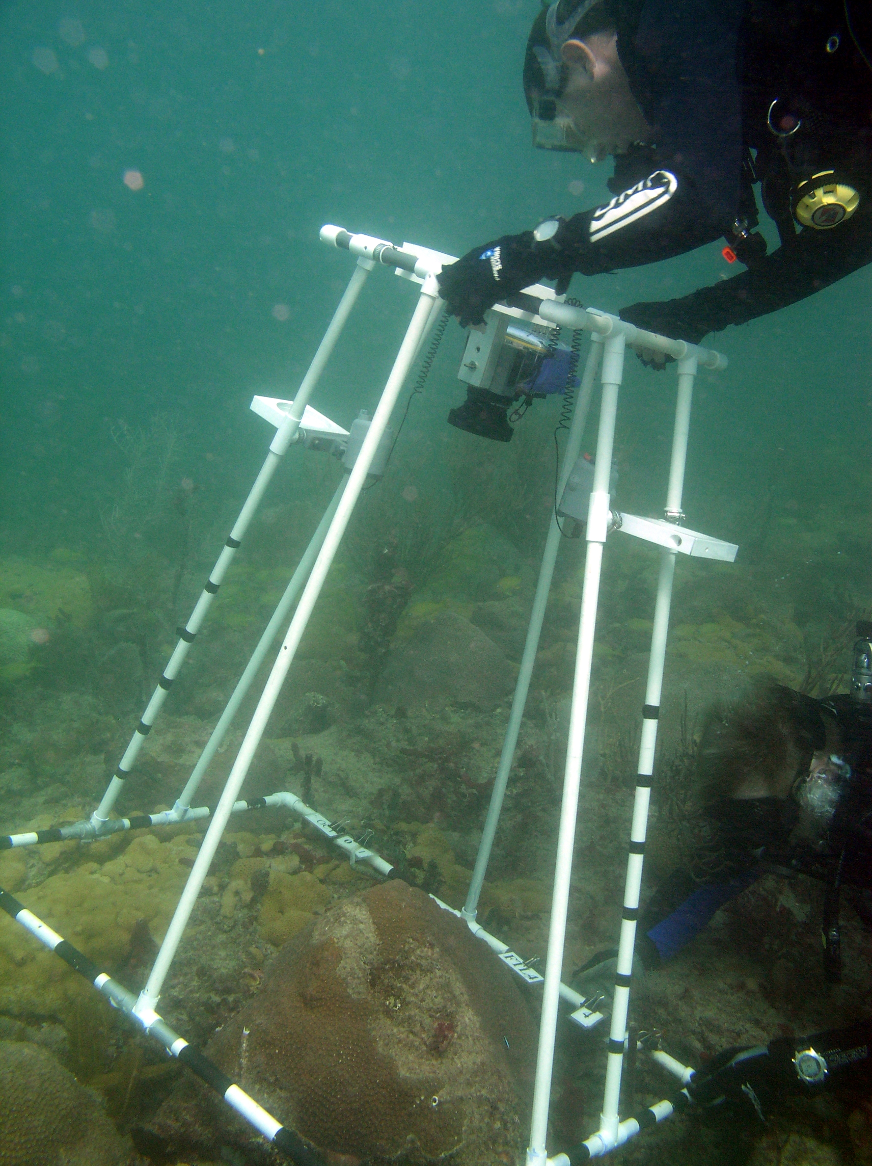 0.75m2 framer with alternate strobe configuration.