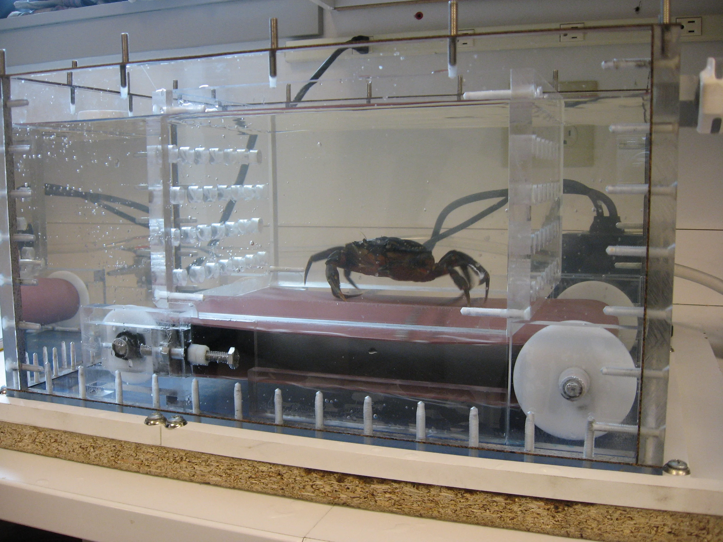  One of the first specimen trials. &nbsp; 