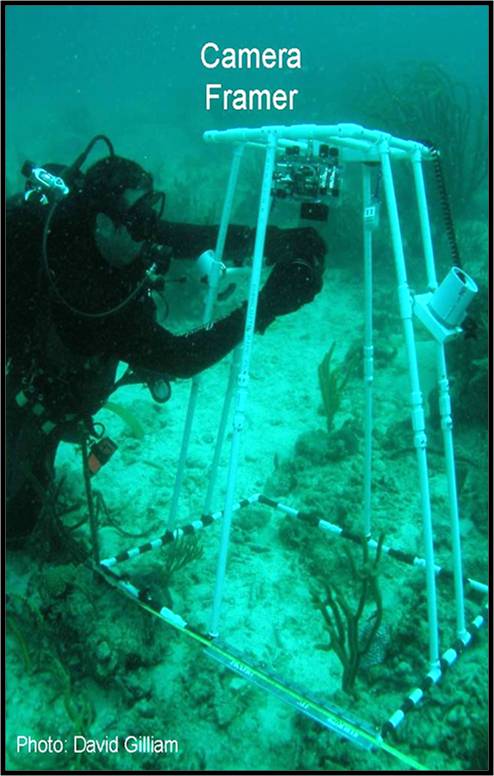 Diver installing wide angle lens on a camera housing before sampling. 