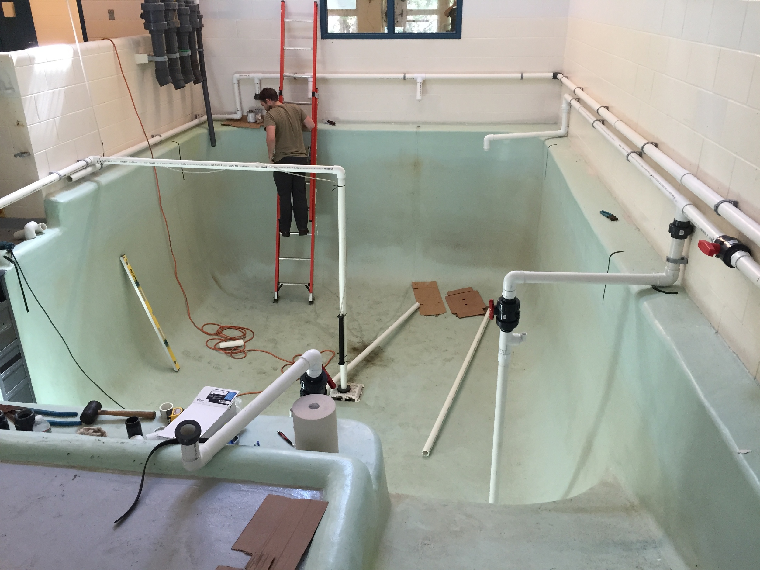 Modified Center Drain Complete