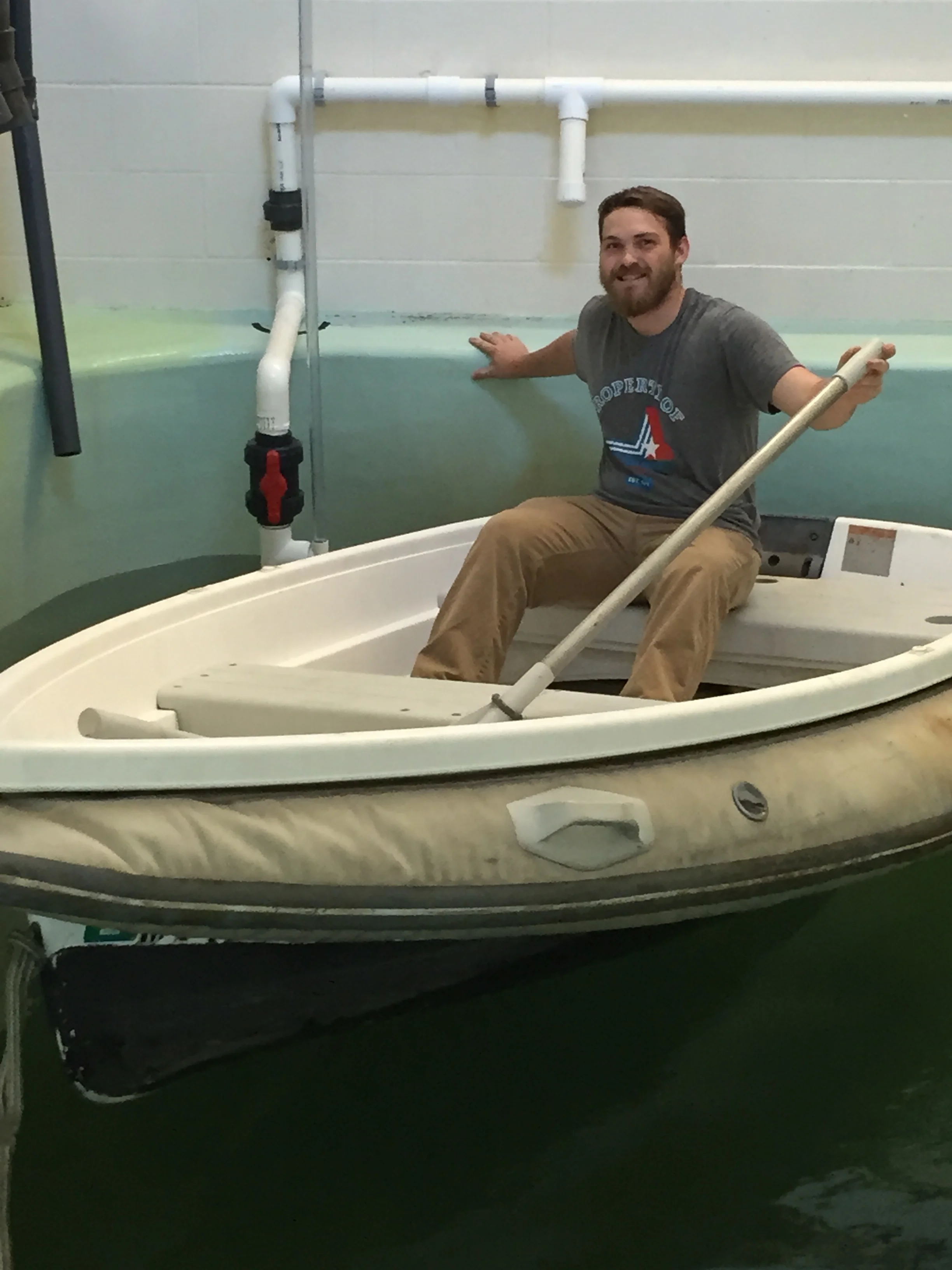 Generation 2 - A Success