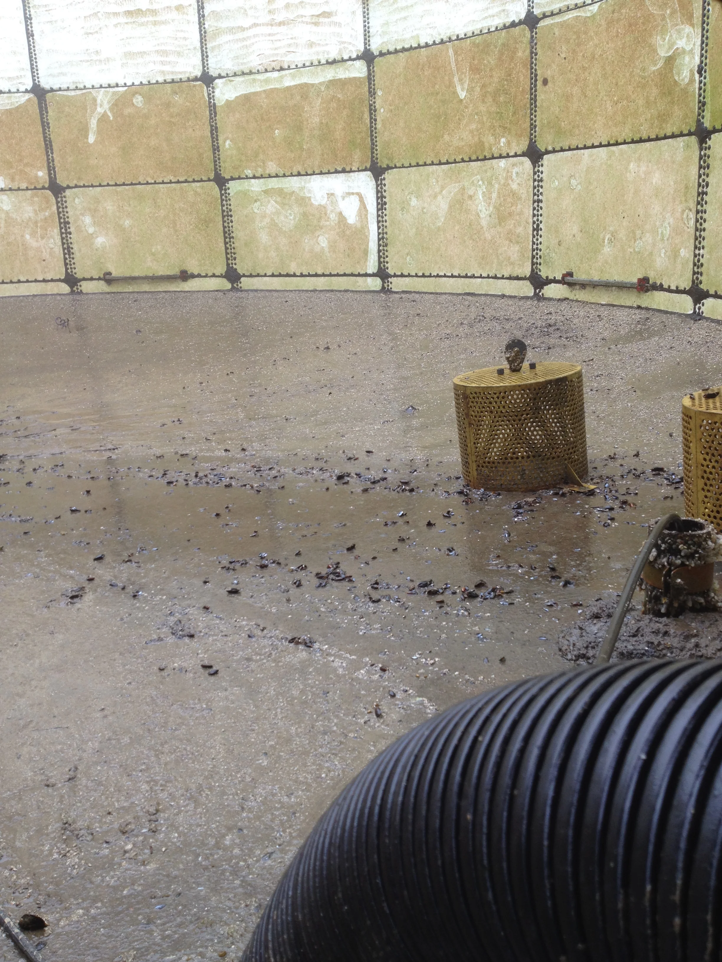 Inside the storage tank