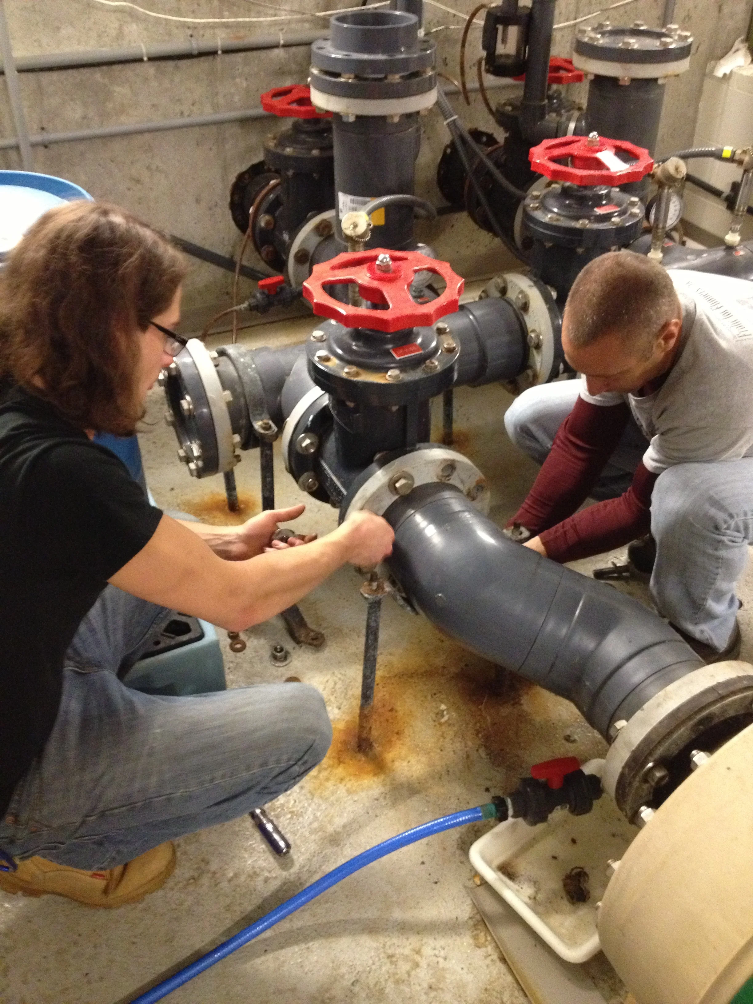 Opportunistic Maintenance