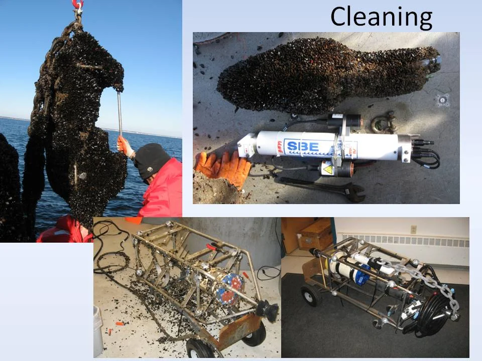 No rest for the weary