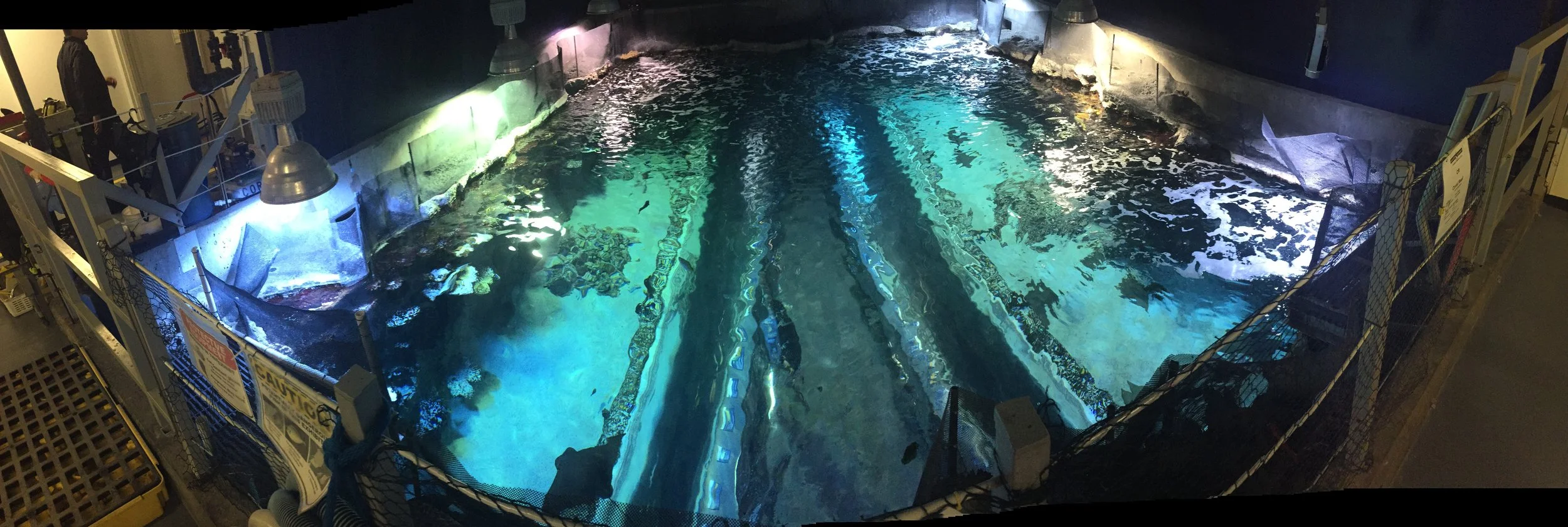 Behind the Scenes Access