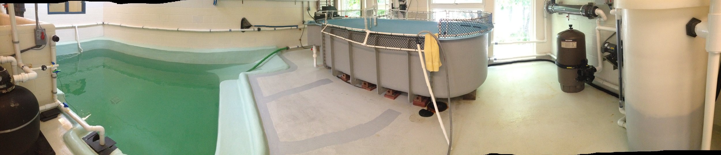 The room configuration at the start of Generation 1.