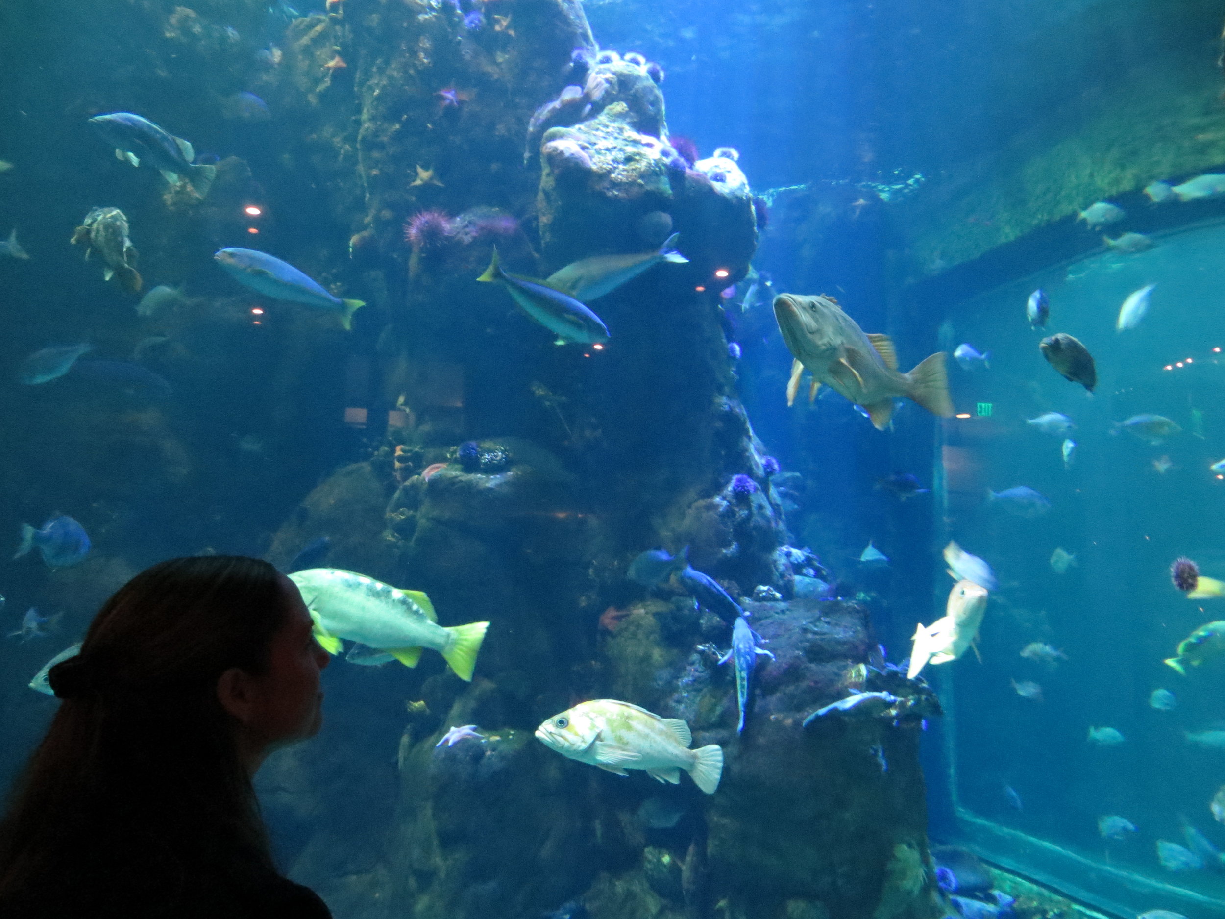 ...into creating experiences like this