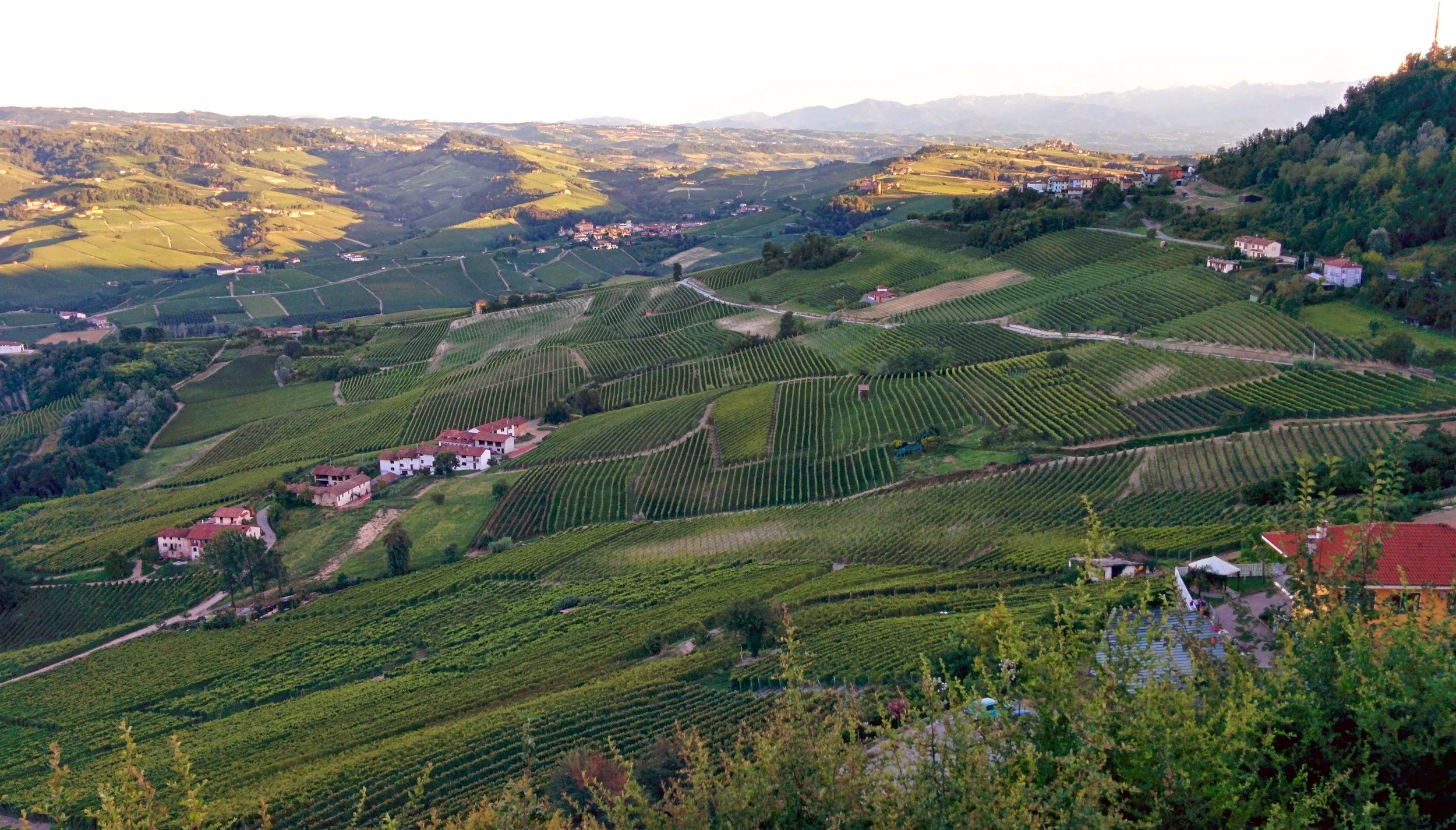 from the peak of la morra, the view of barolo, the hilltop in the distance on the right