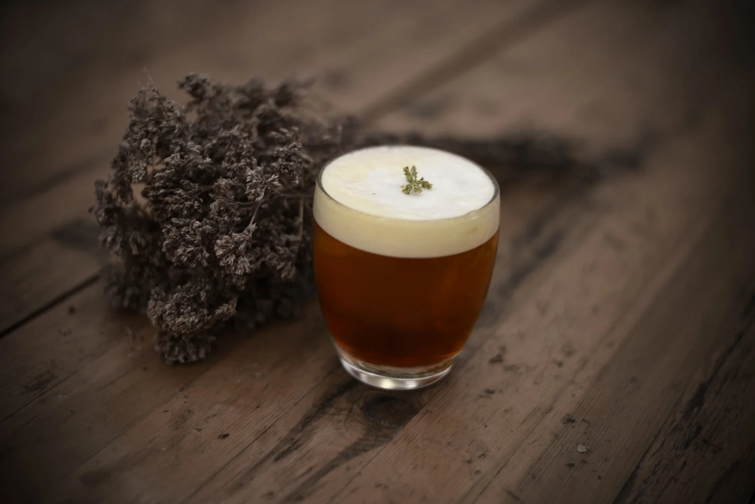 Negroni Draft