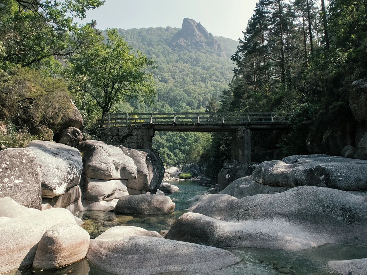  International Calm Day