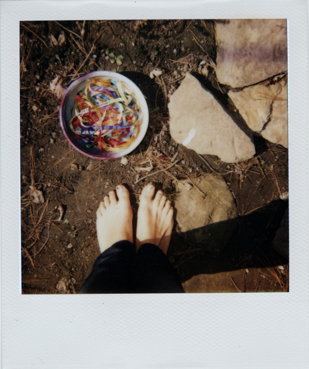 polaroid-vi.jpg