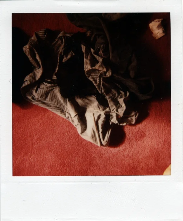polaroid-xii.jpg