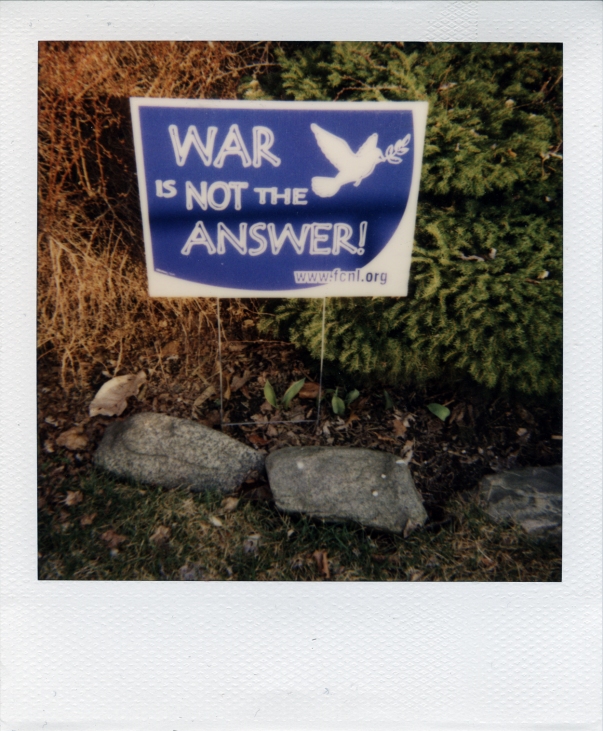 polaroid-xiv.jpg