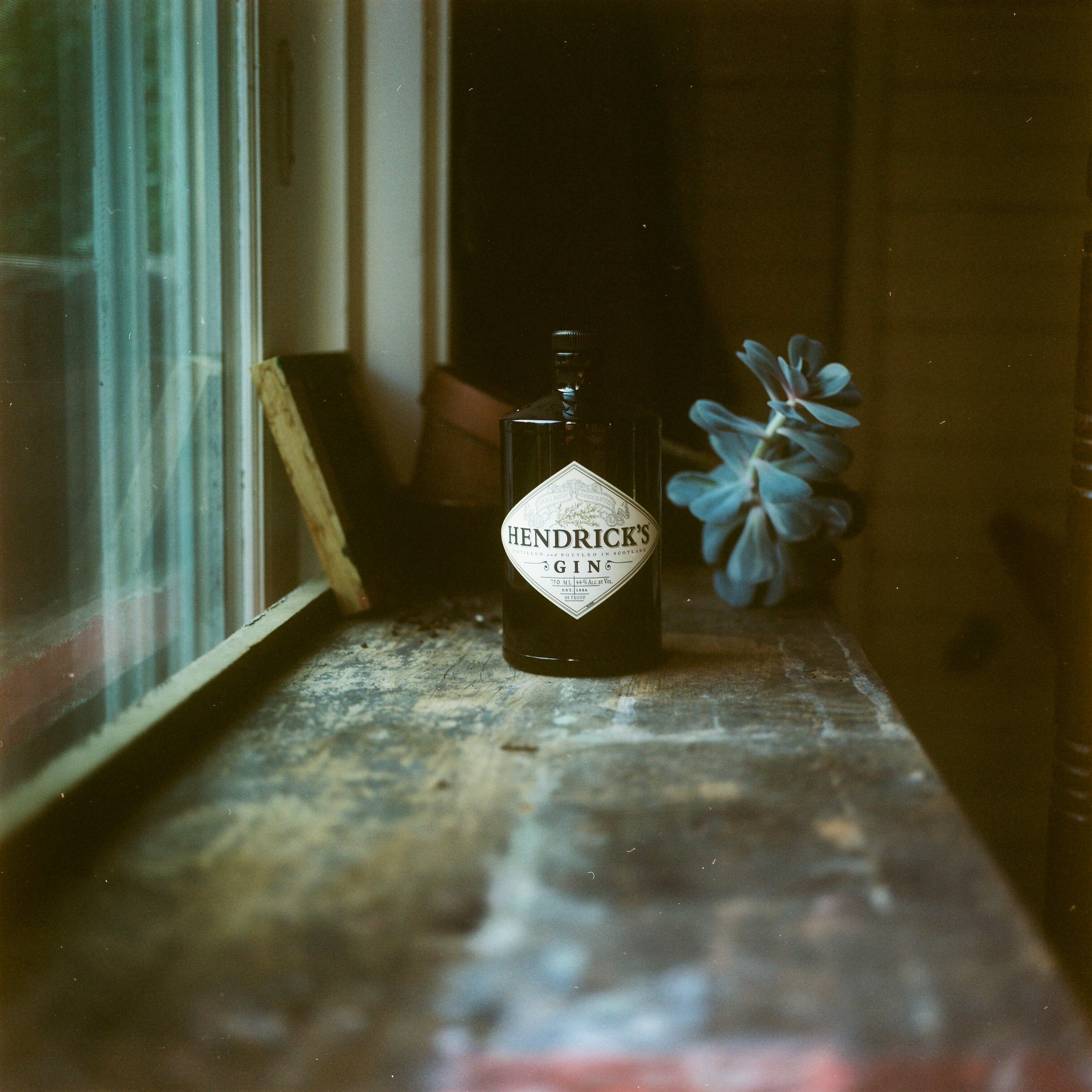 sean's hendrick's II.jpg