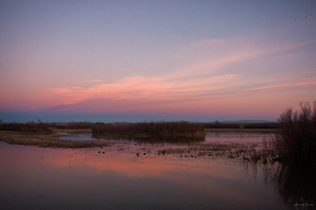NM-Landscapes-7.jpg