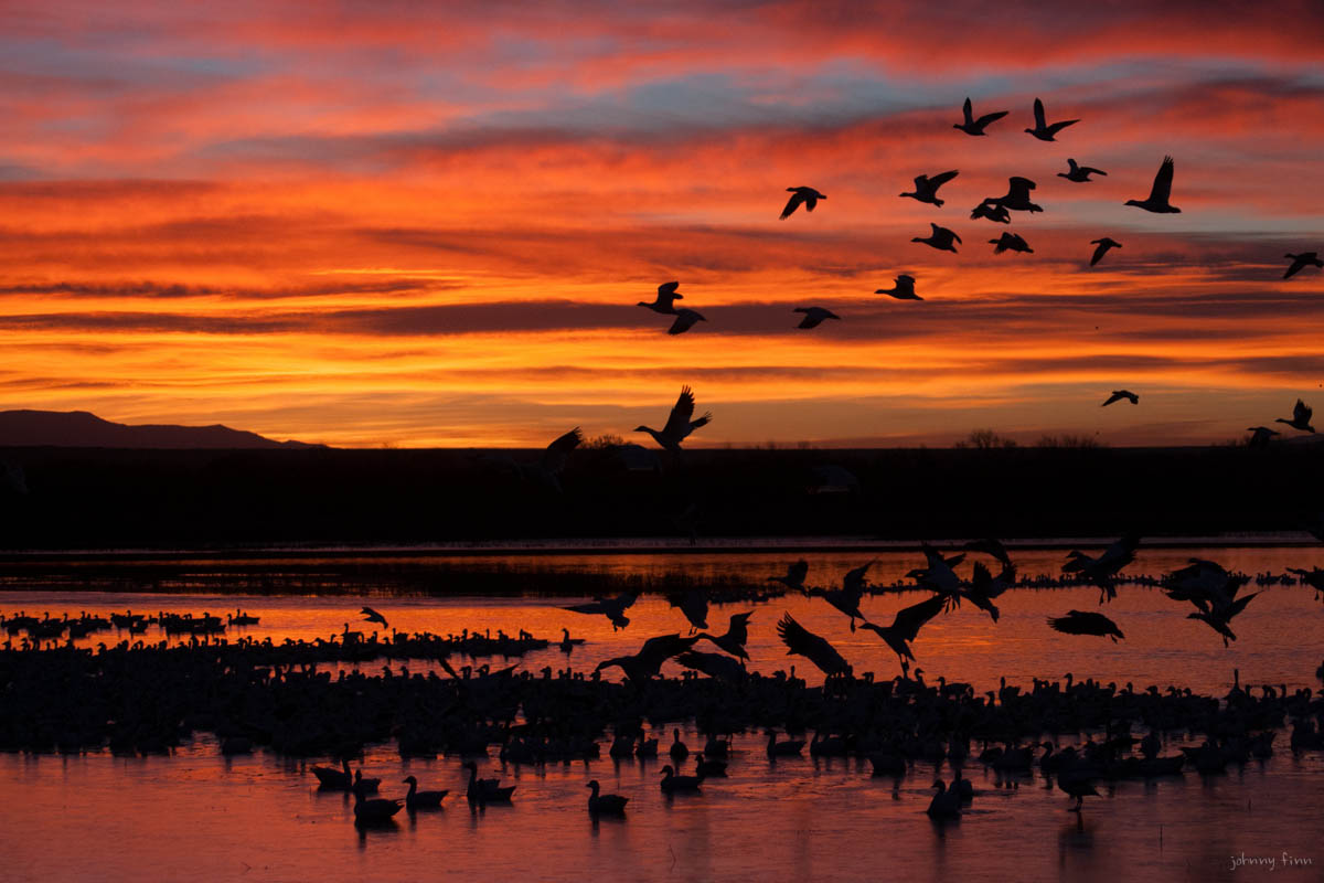 NM-Landscapes-12.jpg