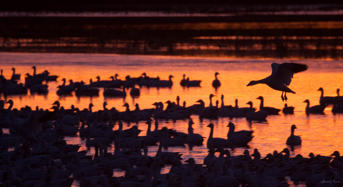 NM-Landscapes-13.jpg