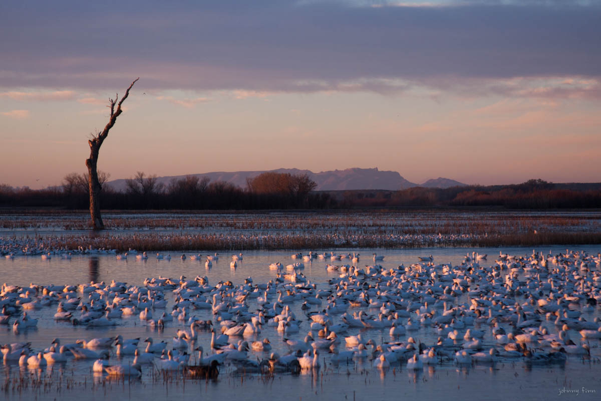 NM-Landscapes-14.jpg