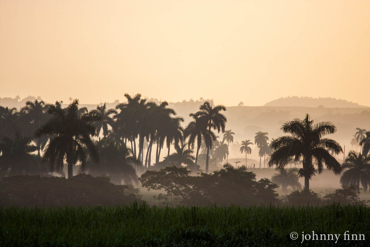 palmas at sunrise, 2013