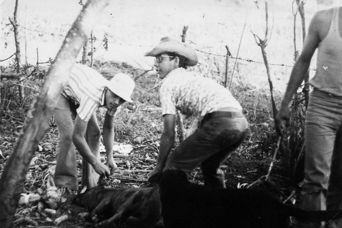 the roast, circa 1970