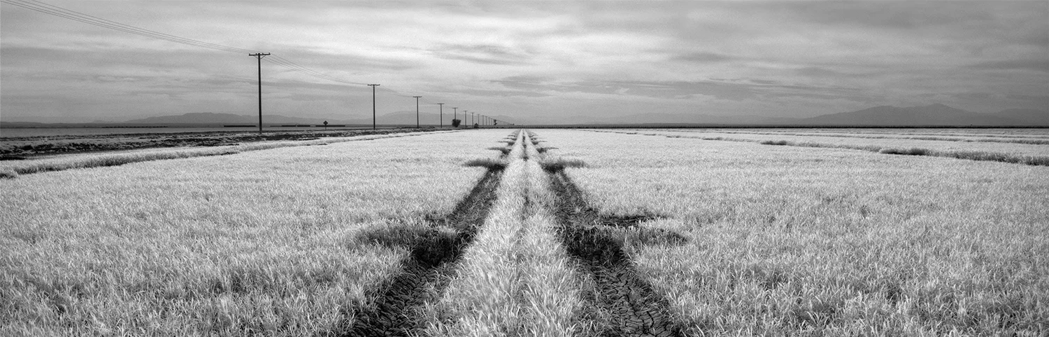 Imperial County Farm.April 26, 2008.jpg