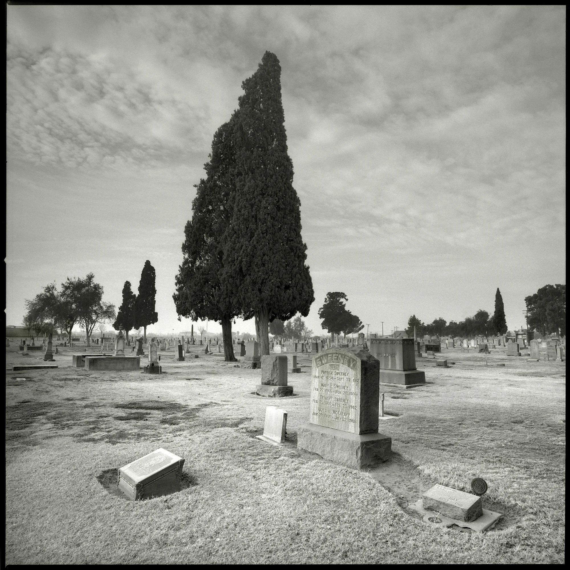 Hanford, California. January 7, 2014.jpg