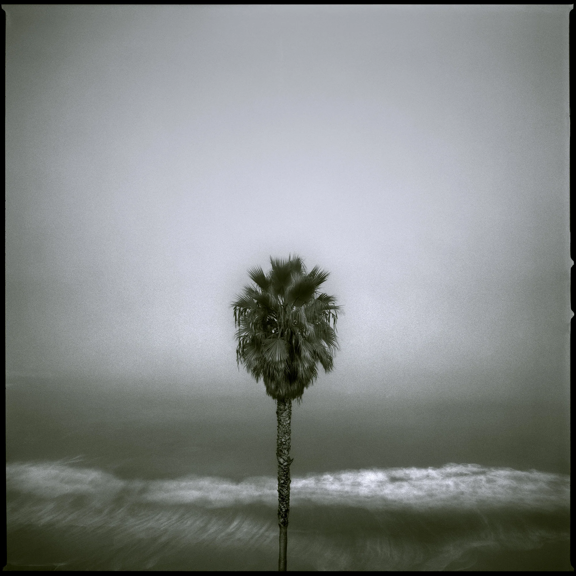Laguna Beach. November 23, 2012.jpg