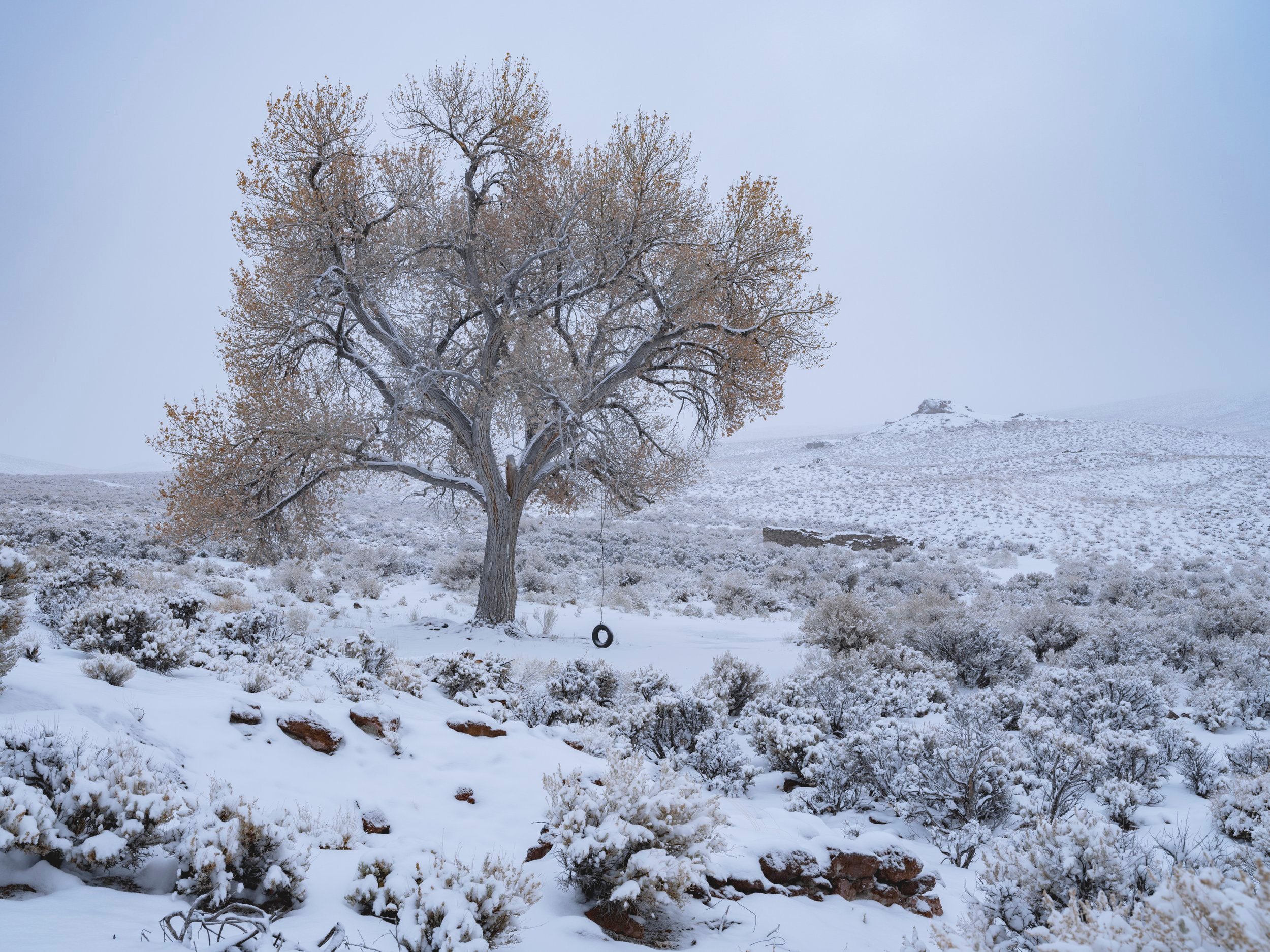   Tonopah, Nevada #3. December 28, 2020  