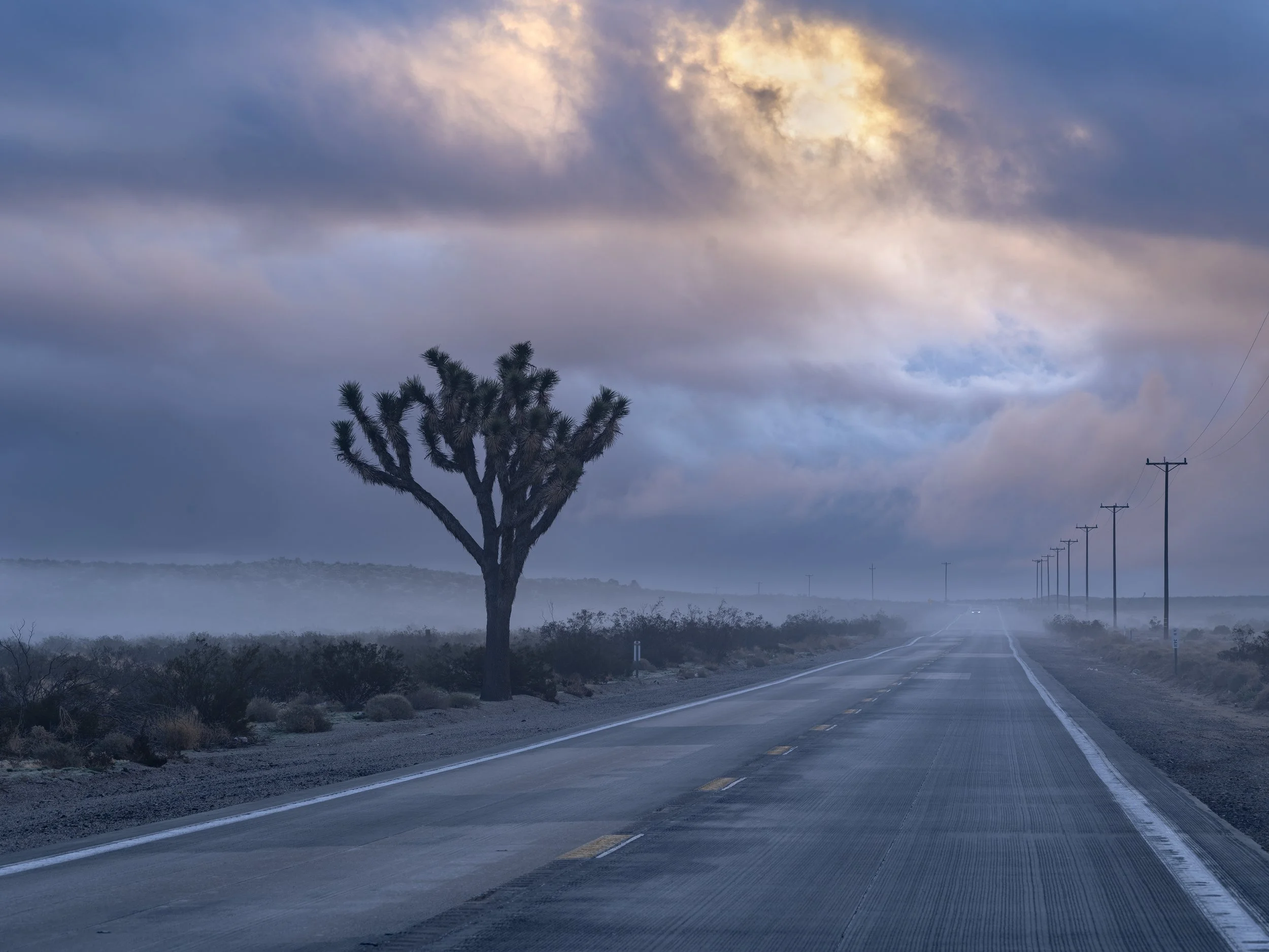 Highway 247. January 4, 2026.jpg