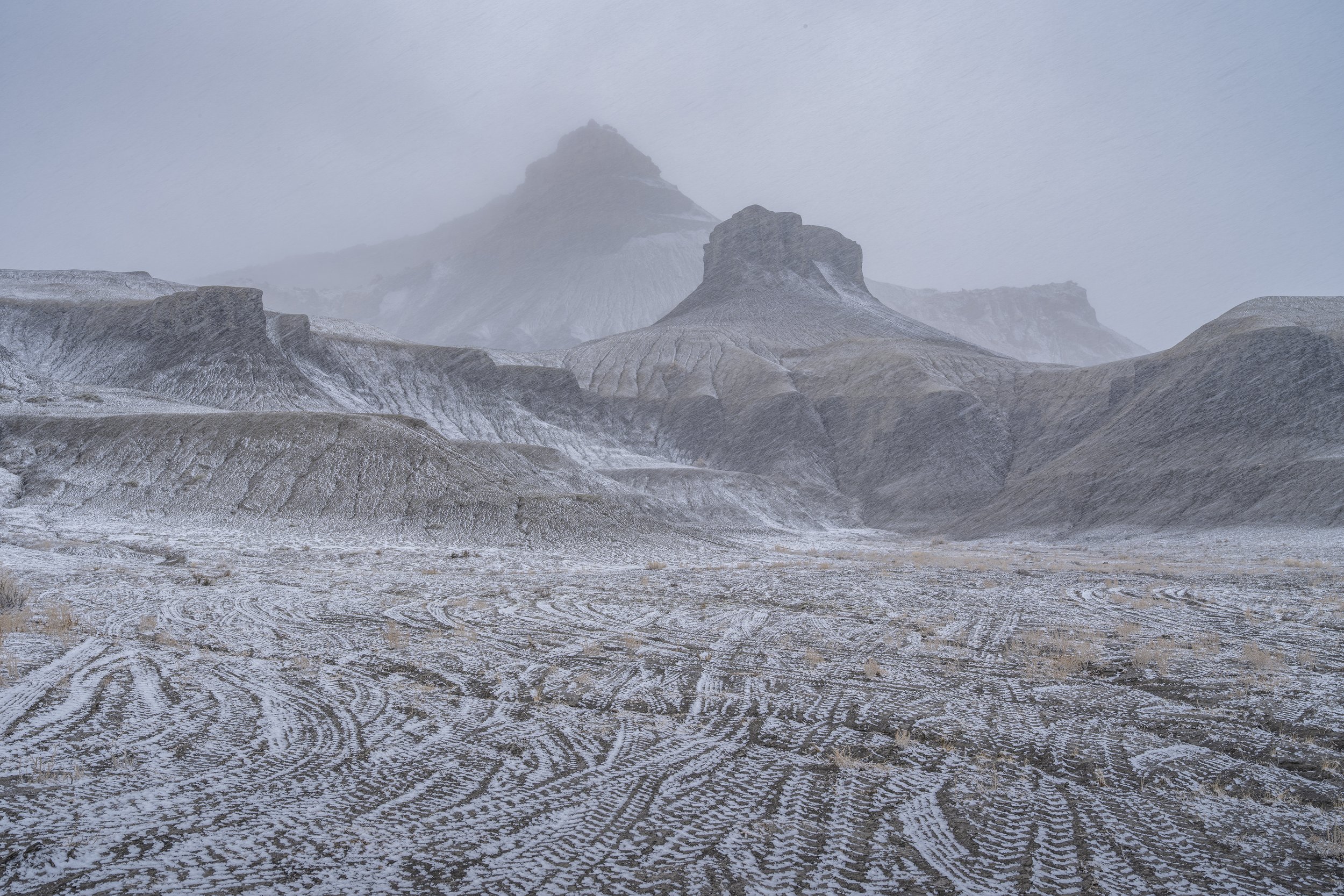 Miller's Canyon #4. Utah. January 8, 2026.jpg