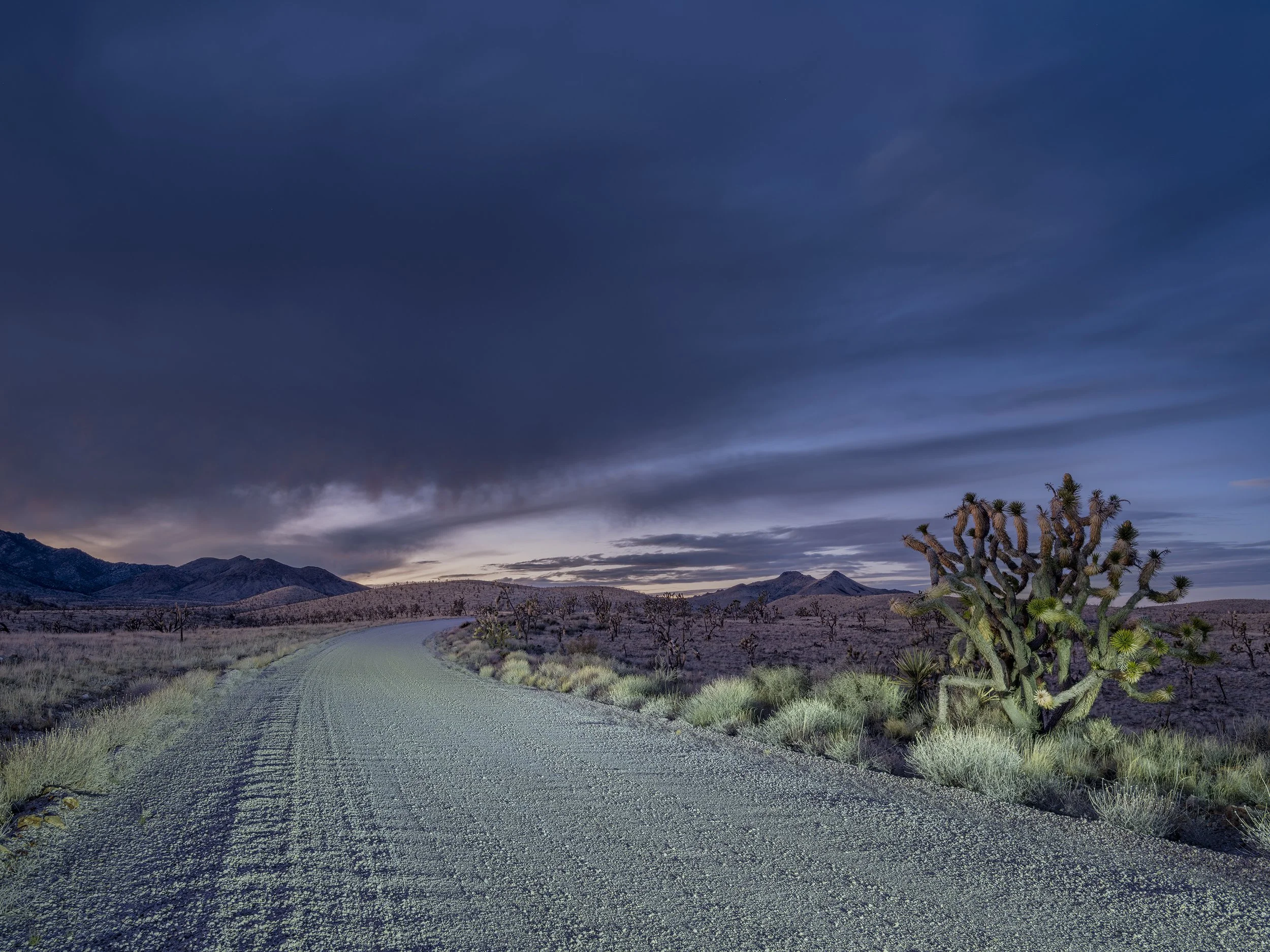 Lanfair Road #5. January 18, 2026.jpg