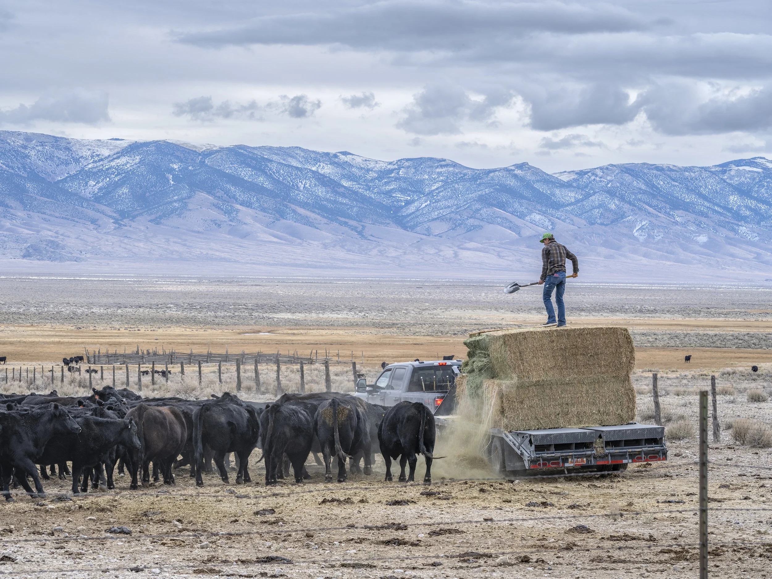 Nevada State Route 893 #8. January 7, 2026.jpg