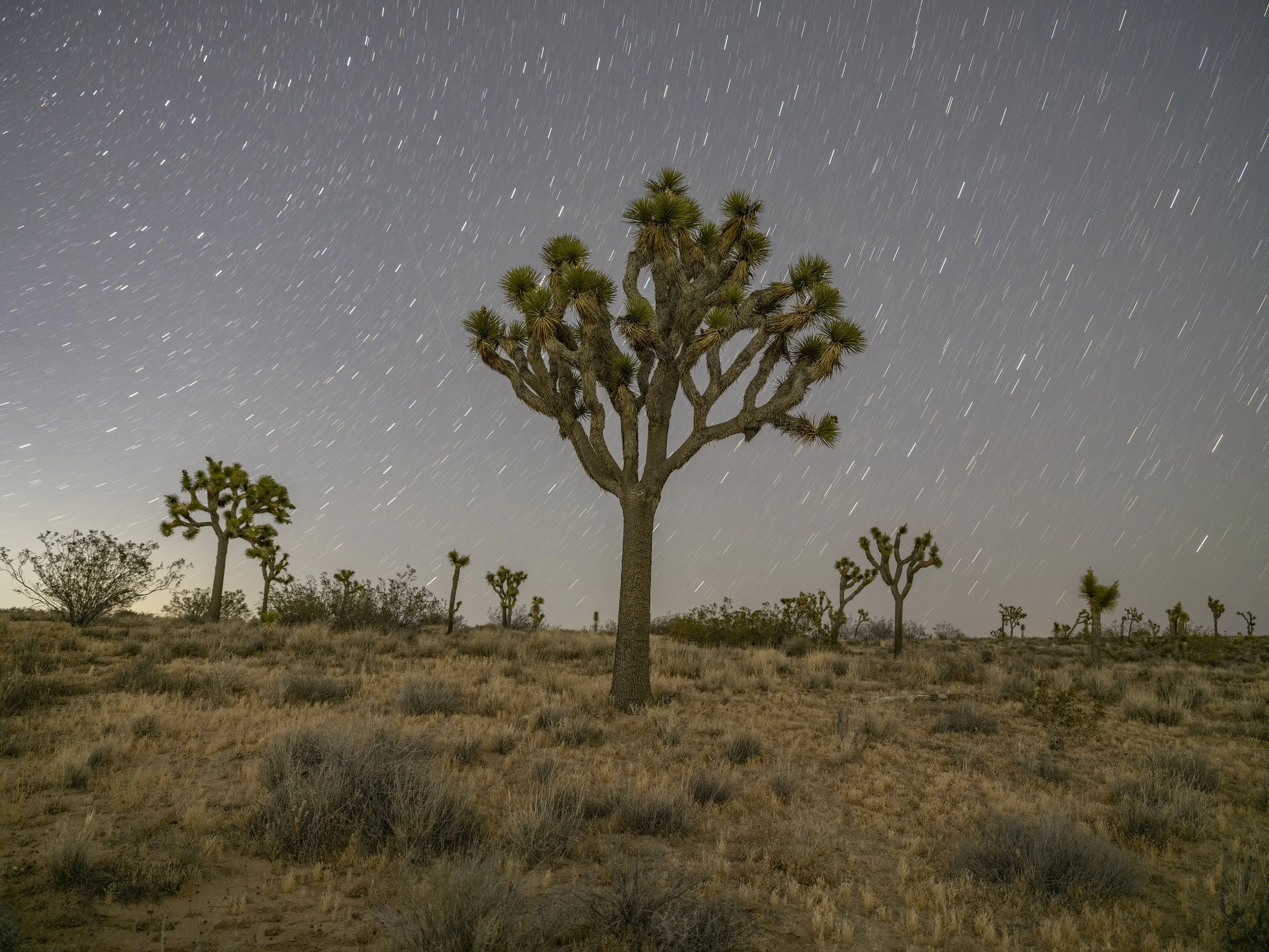 Geology Tour Road #3. Joshua Tree NP. May 10, 2026