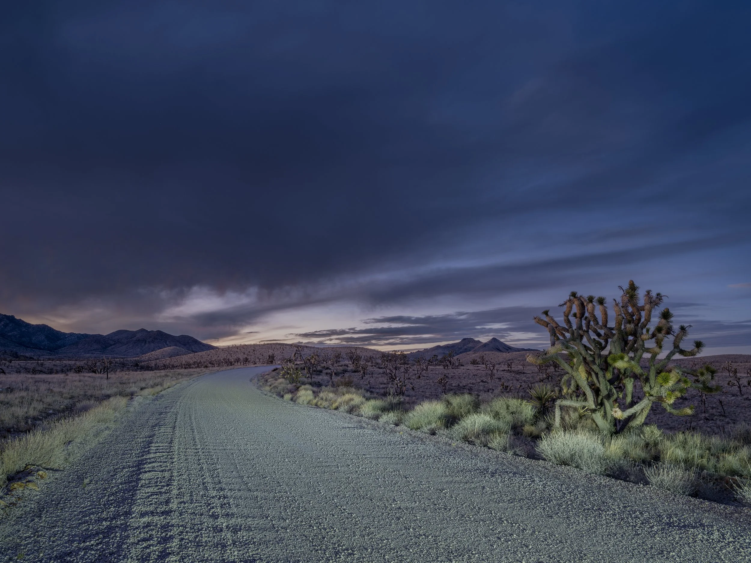 Lanfair Road #5. January 18, 2026