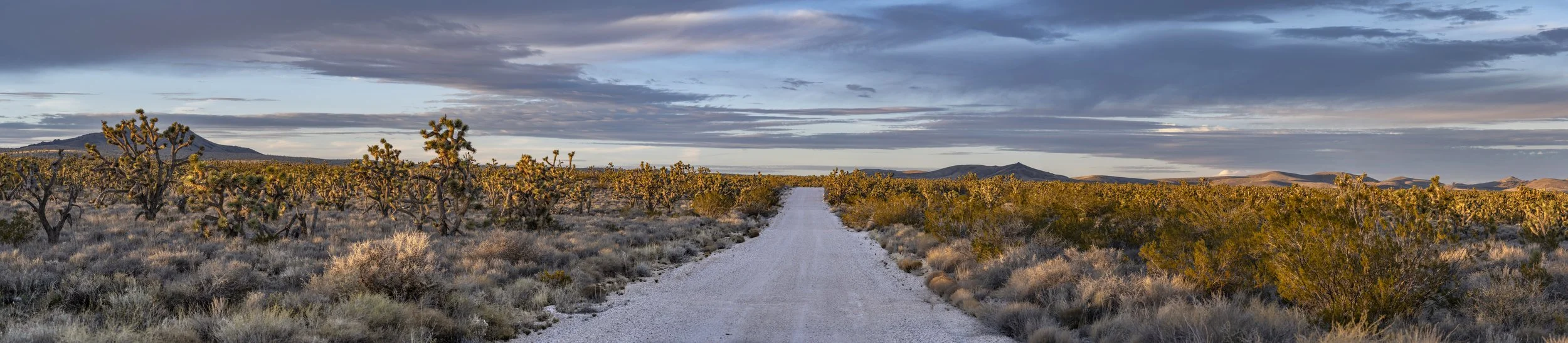 Lanfair Road #1. January 18, 2026