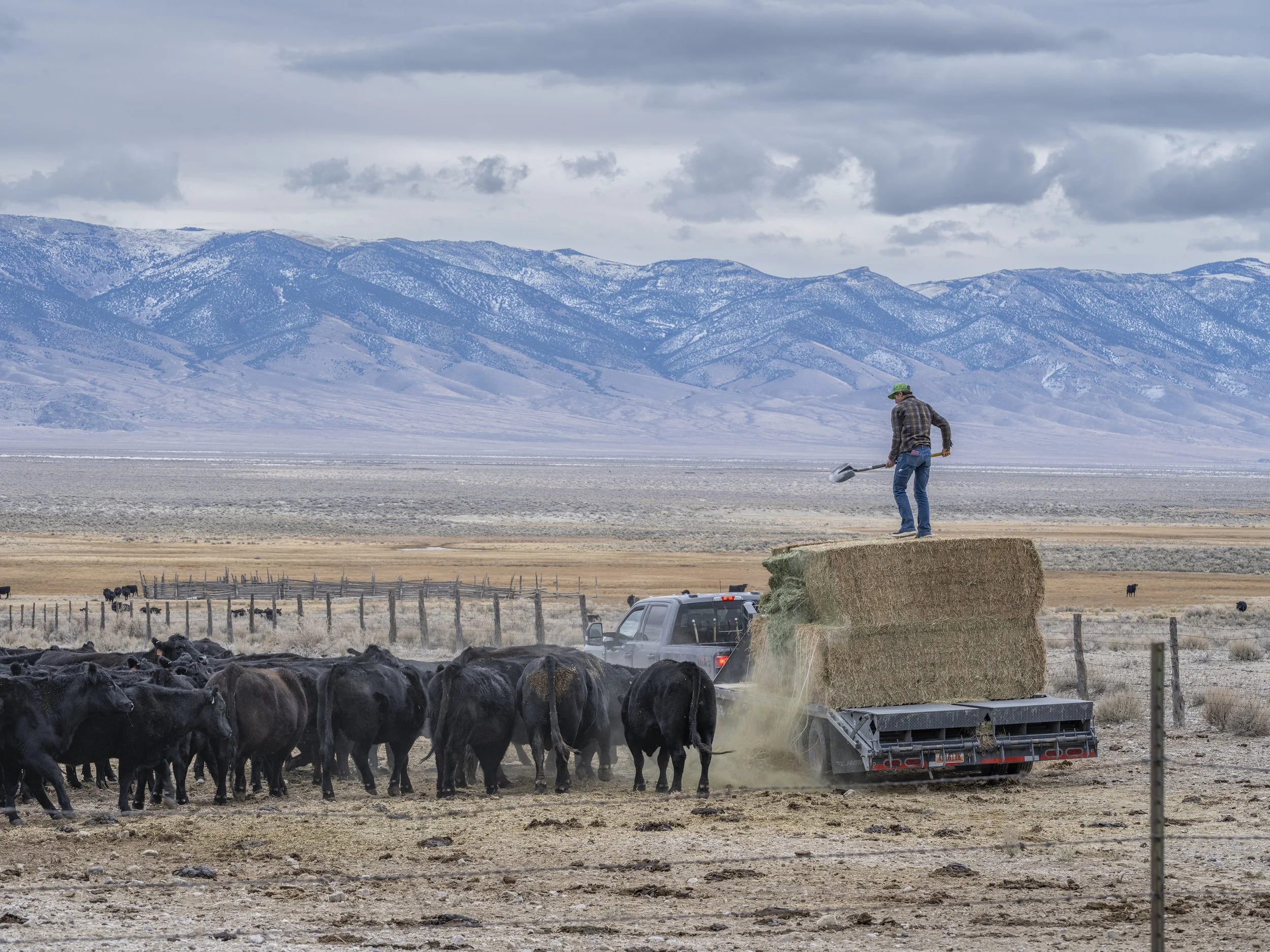 Nevada State Route 893 #8. January 7, 2026