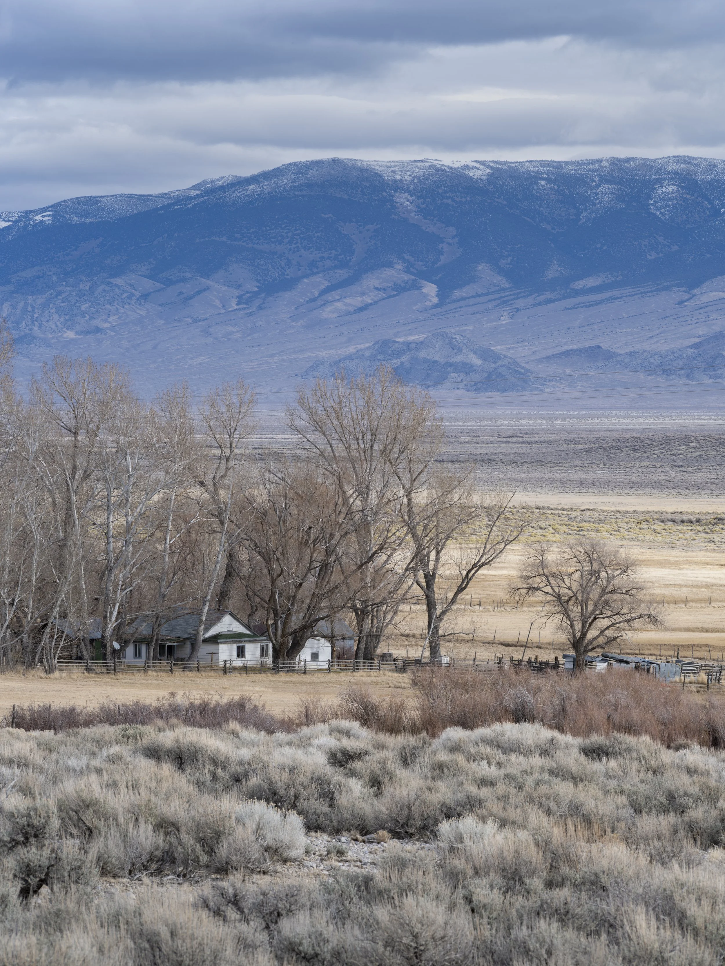 Ranch #1. Nevada State Route 893. January 7, 2026
