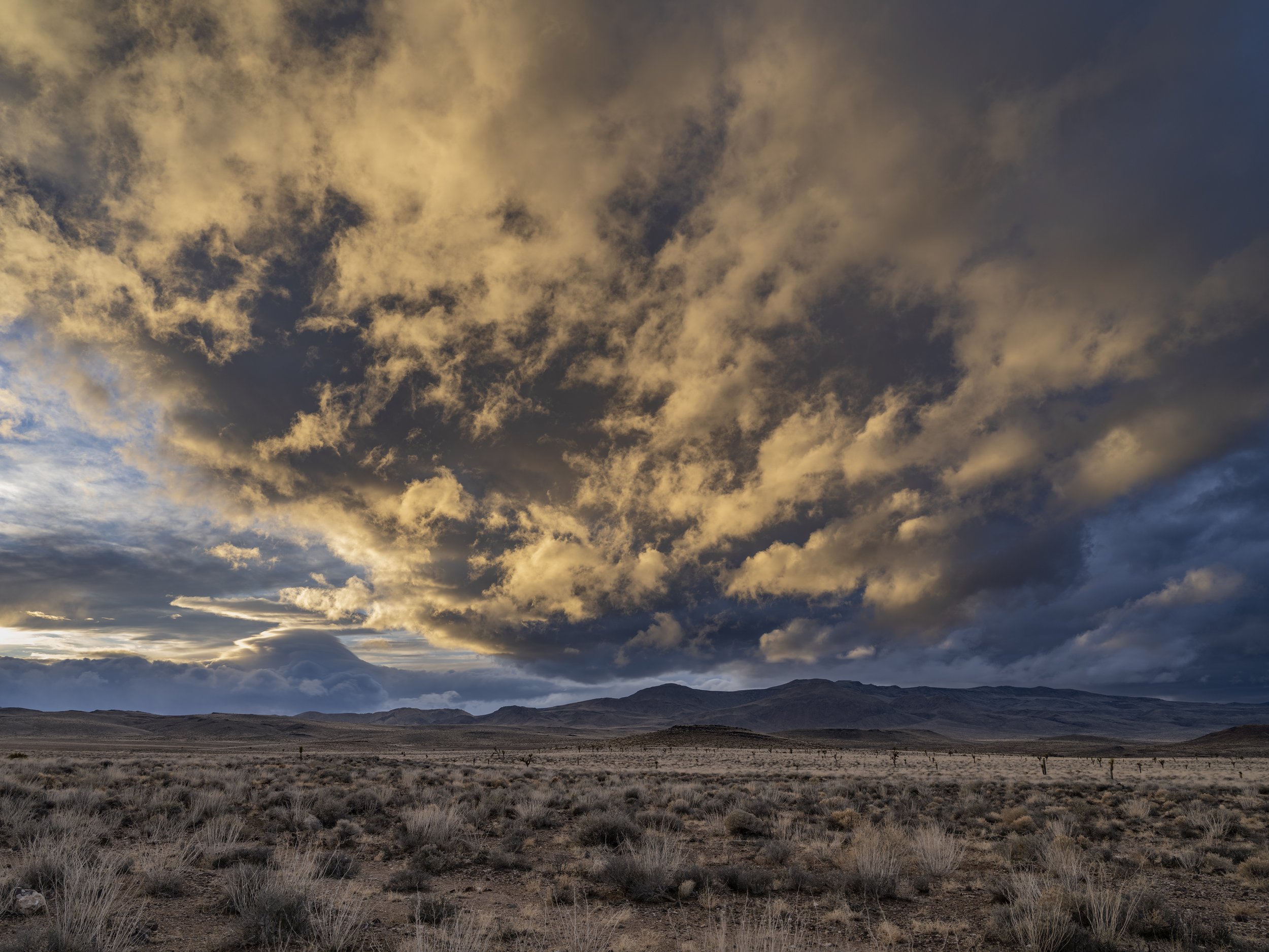 US Highway 190. Death Valley. January 4, 2026