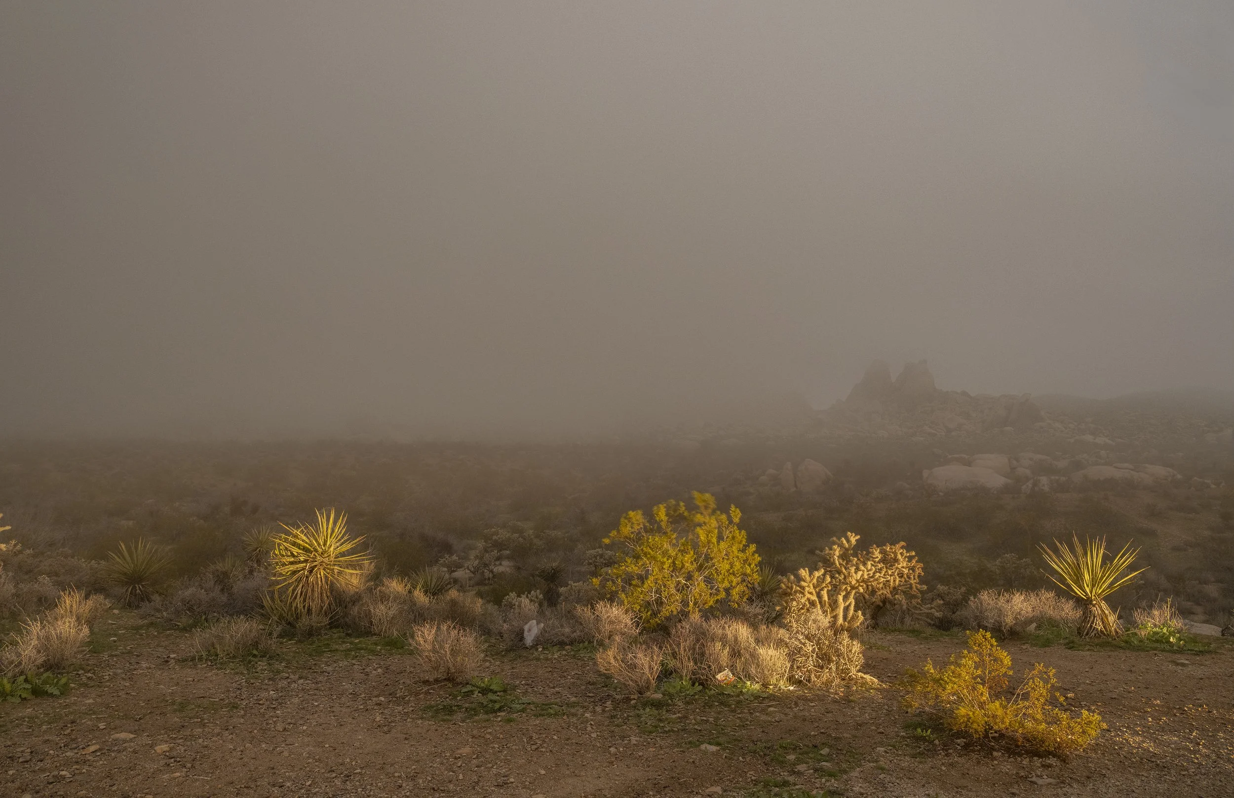 Kelbaker Road Overlook. January 2, 2026