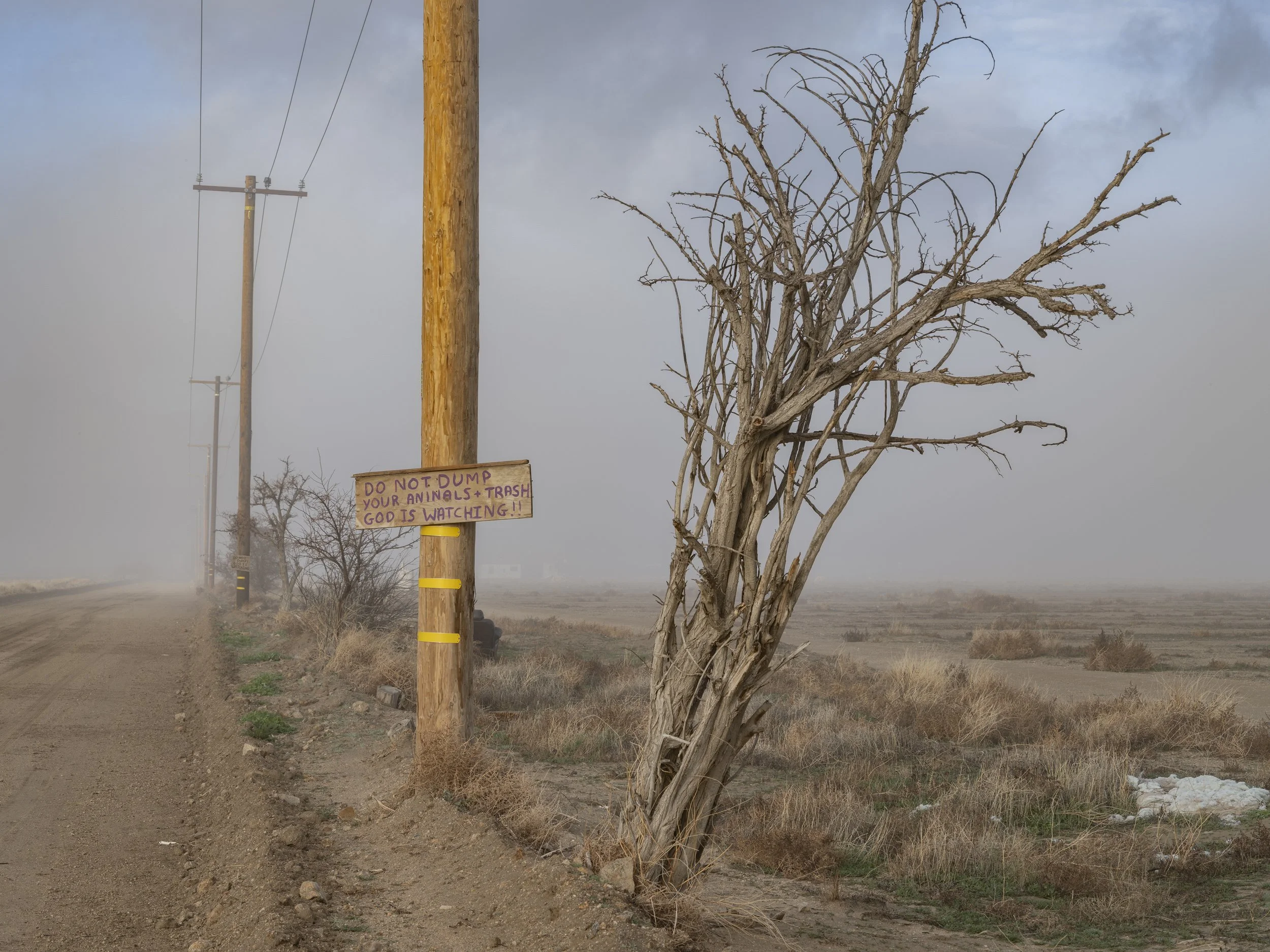 Lucerne Valley #3. January 4, 2026