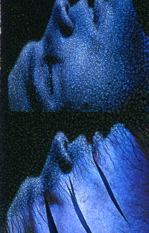 Demi-monde (excerpt)