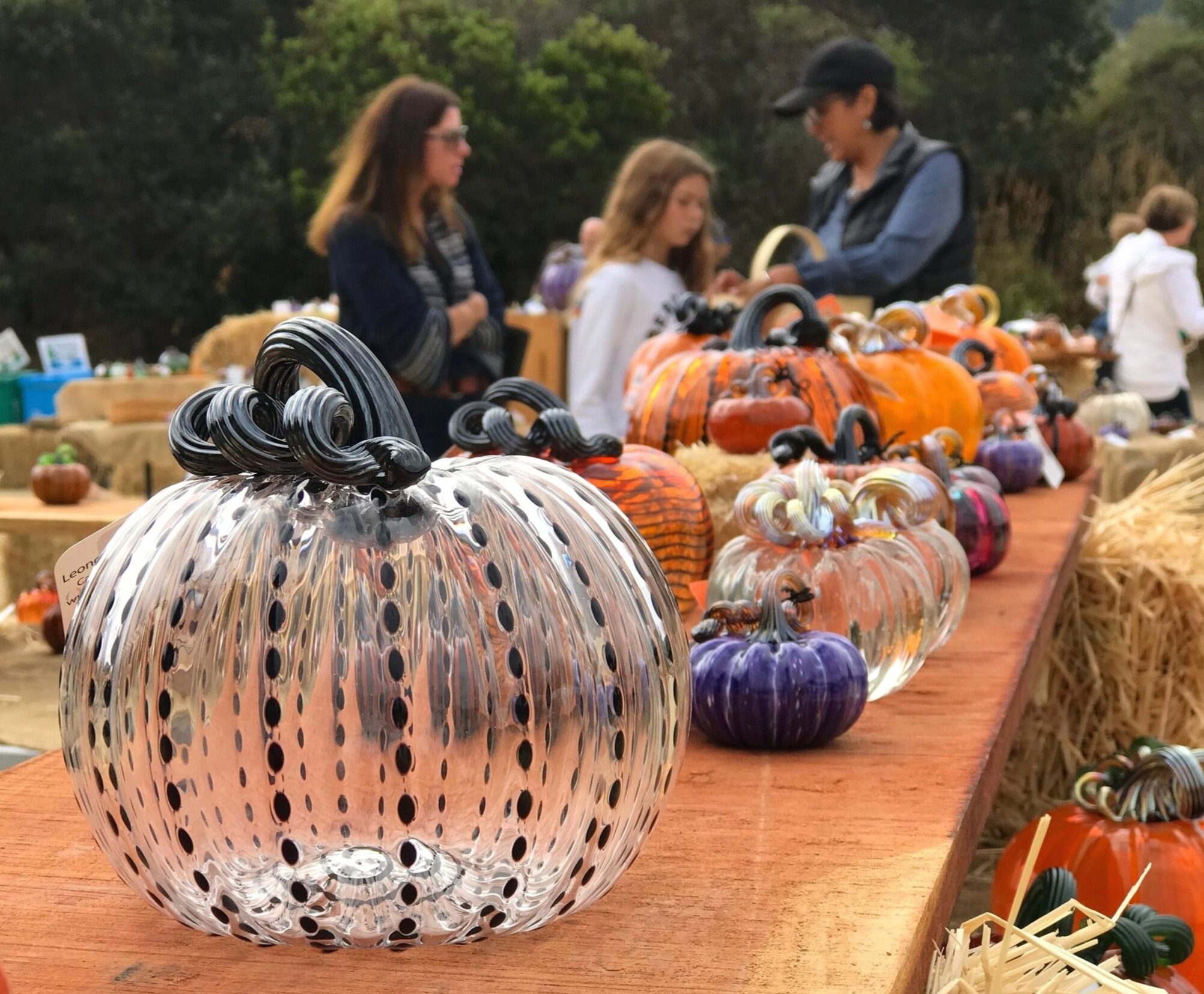 Glass Pumpkin Patch Events Leonoff Art Glass