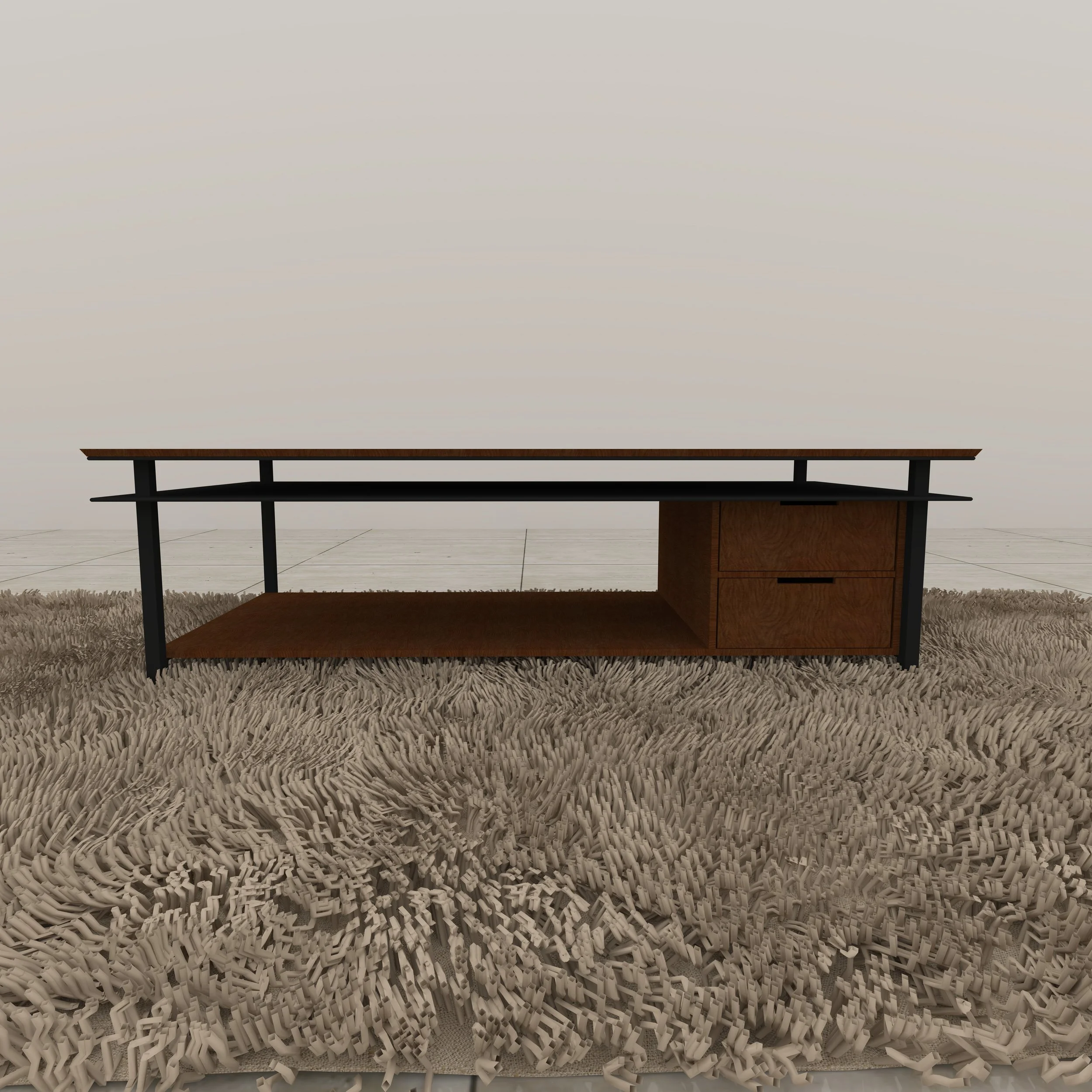 coffee table1.0000.jpg