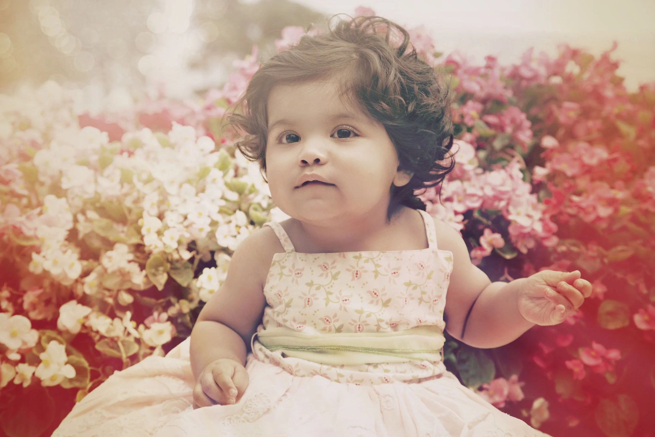 IMG_1115edit .jpg