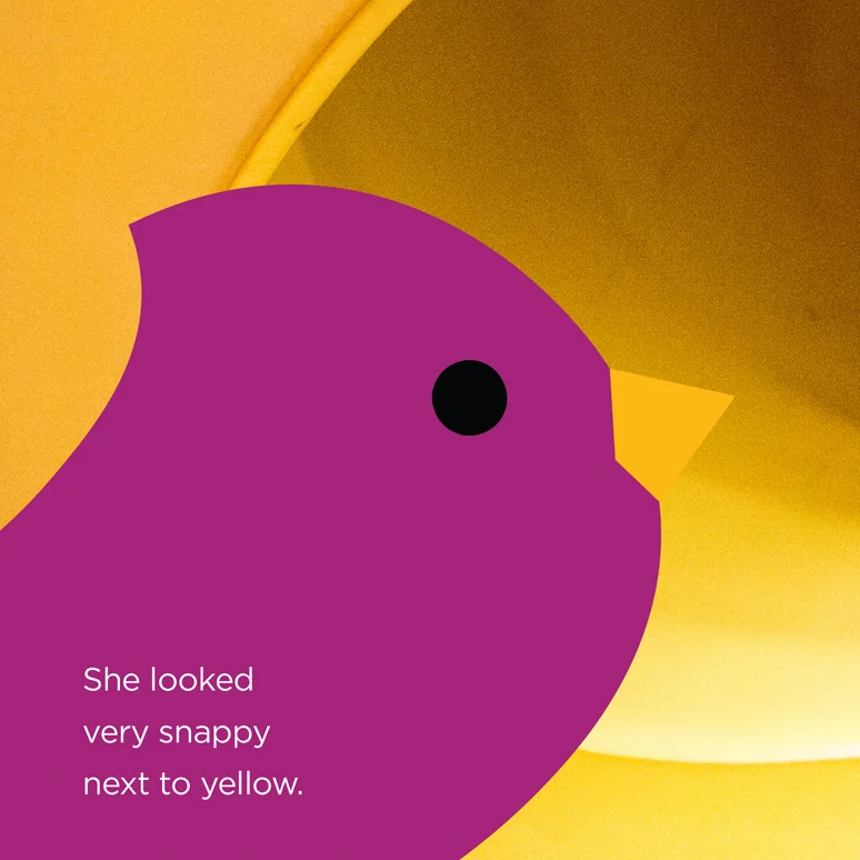 snappy.jpg