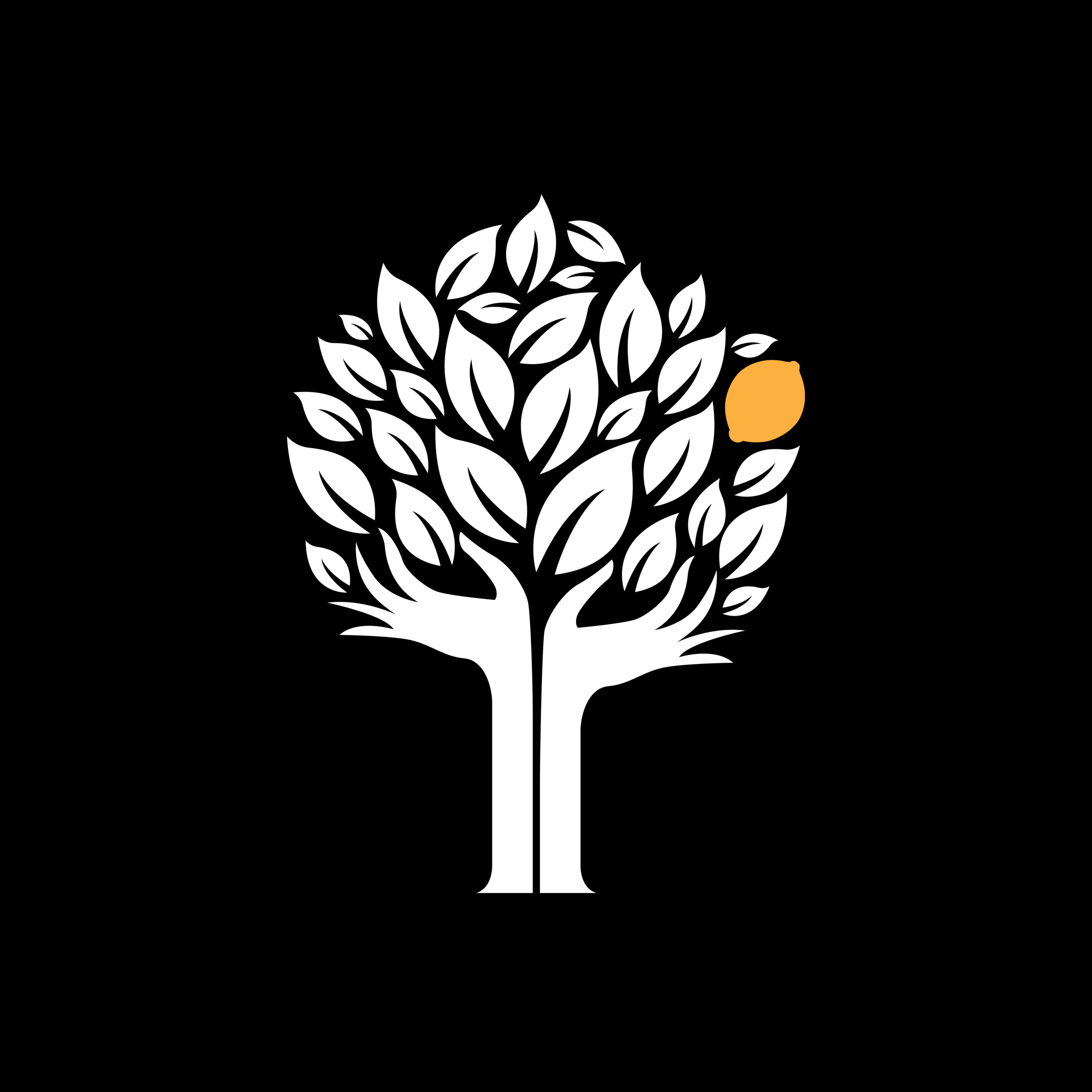 FMK-Foundation.png