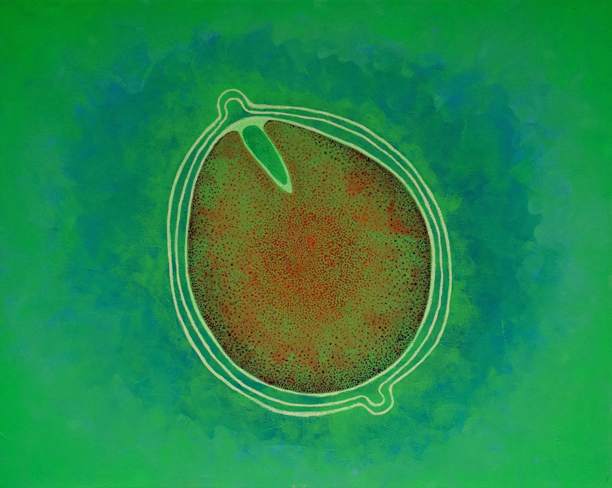 Where Growing Comes From 18x12 Acrylic on Canvas