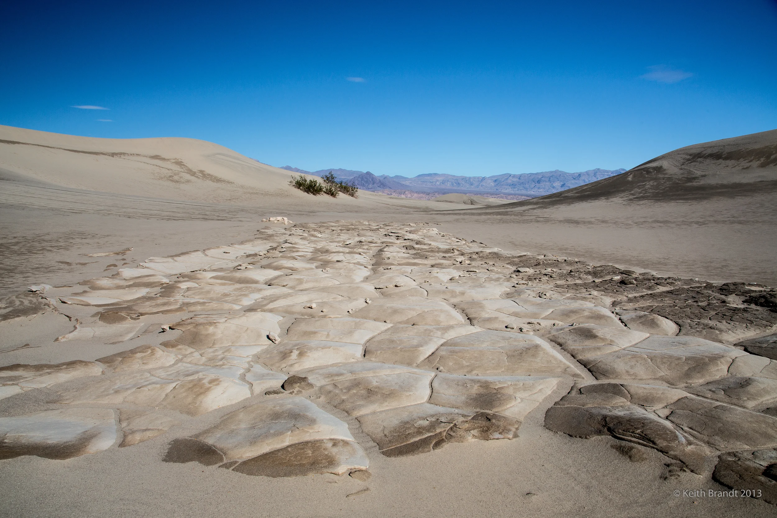Mesquite Dunes Playa