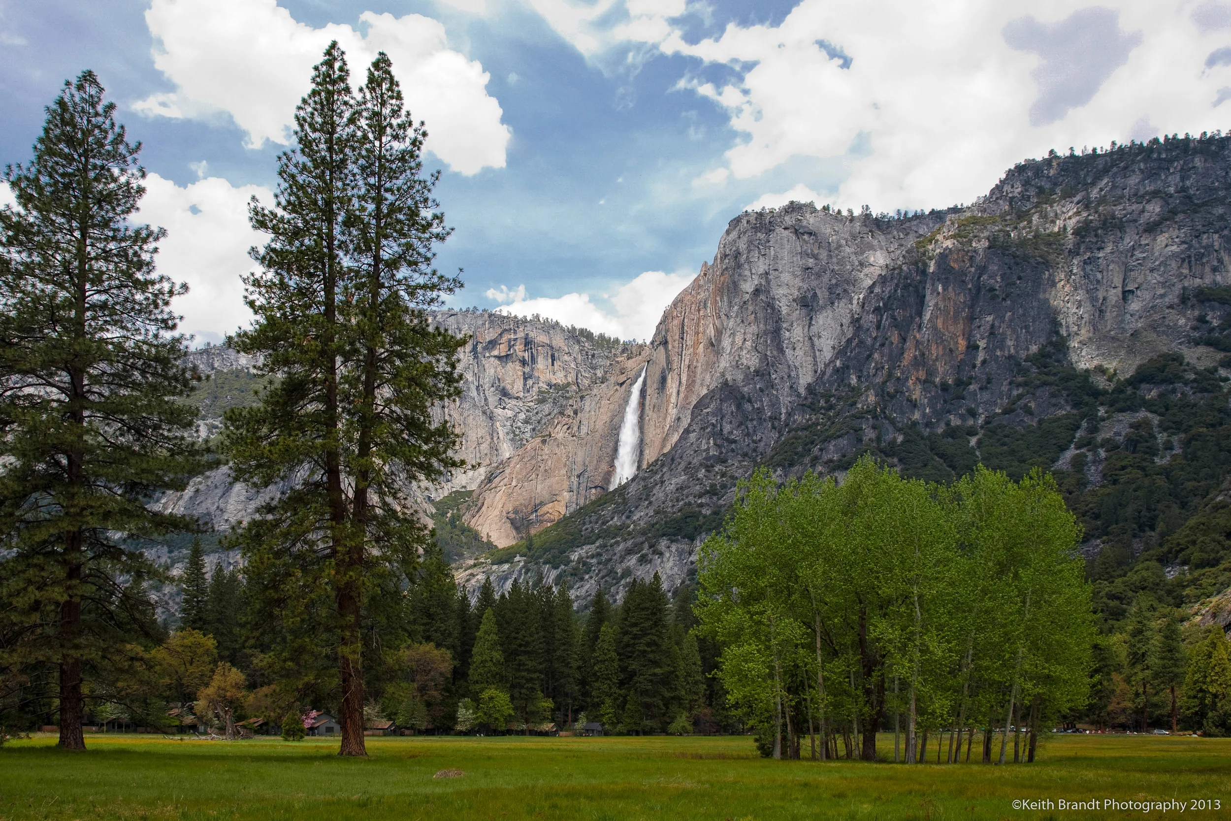 Yosemite Falls and Meadow