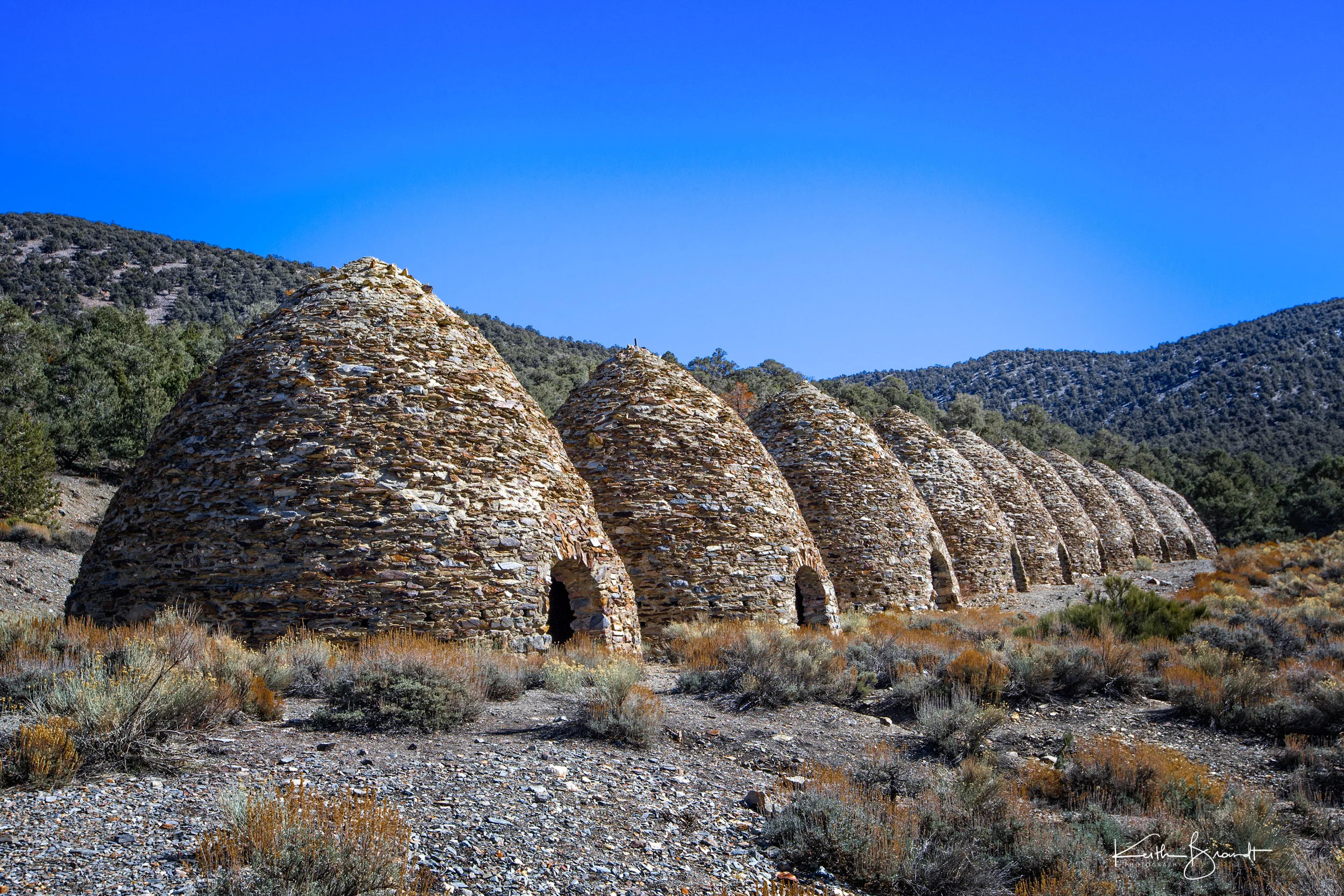 Wild Rose Charcoal Kilns